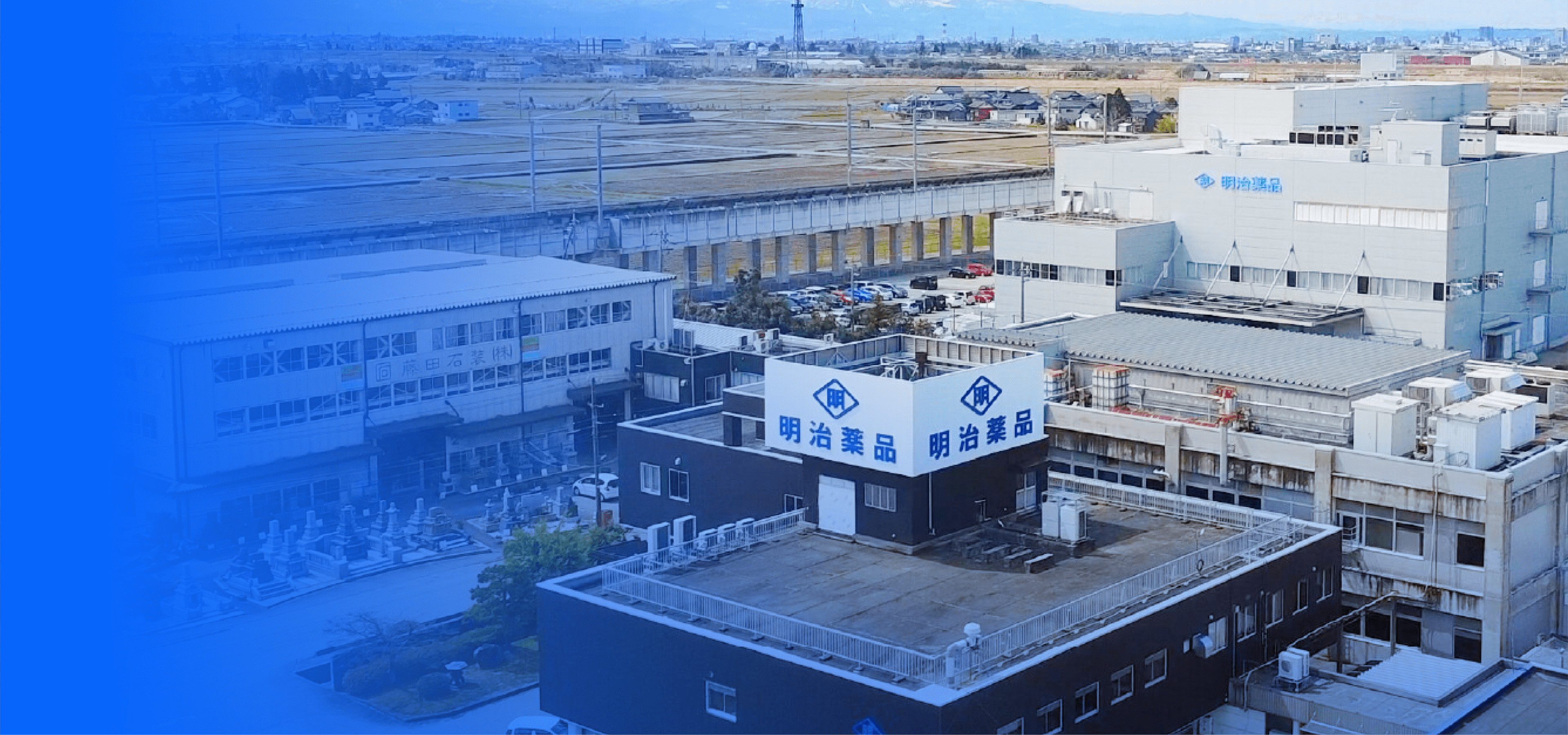 Meiji Pharma